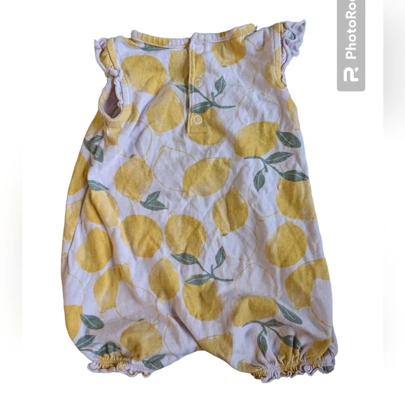 2/$10 9 mo Carters botanical outfit lot - Picture 7 of 7